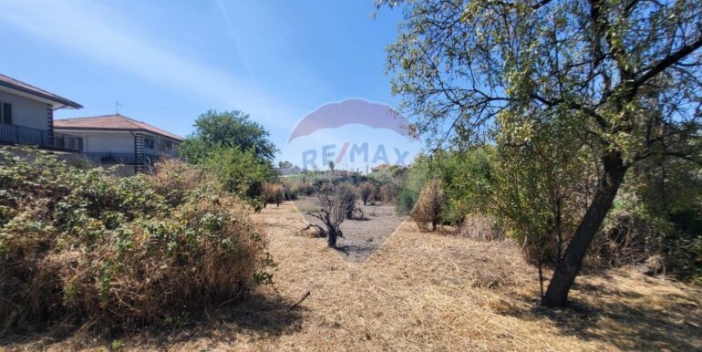 20250729164033-972354-9