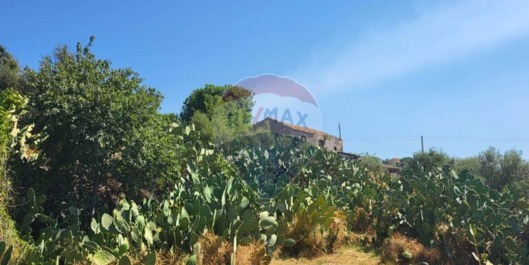 20250729164035-972354-10