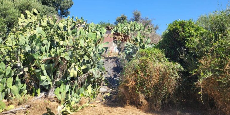 20250729164040-972354-12