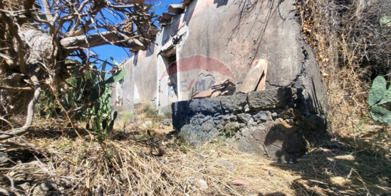 20250729164042-972354-13