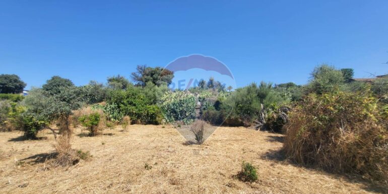 20250729164053-972354-17