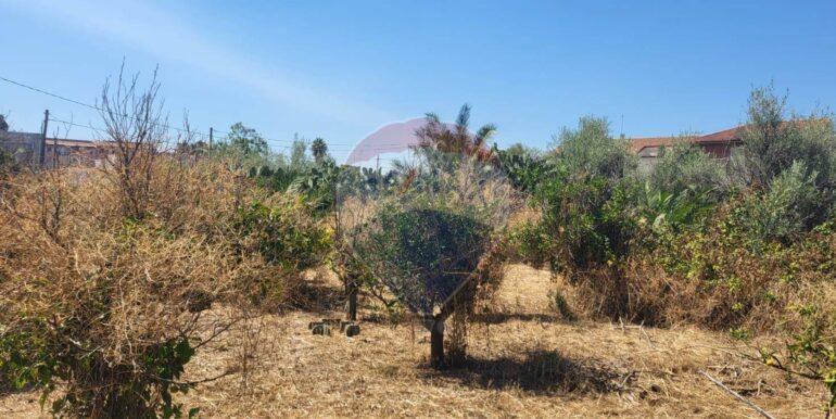 20250729164059-972354-19