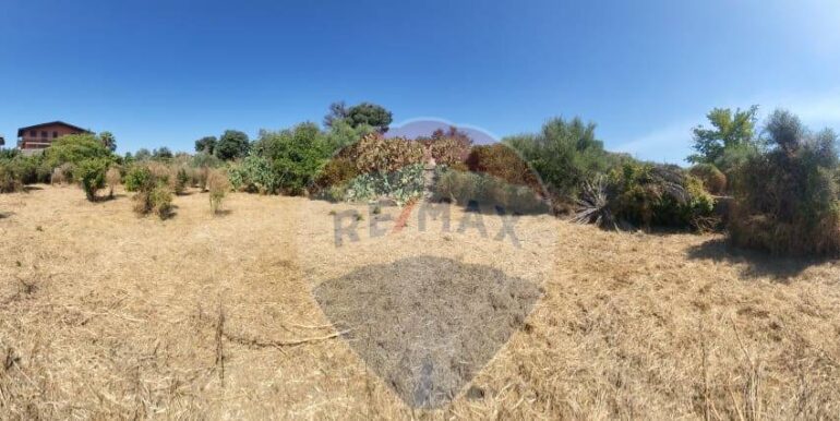 20250729164103-972354-20