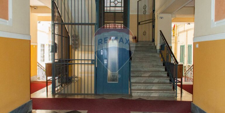 20250730111115-966078-6