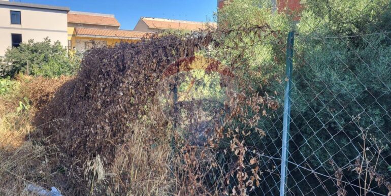 20250730120739-972158-1