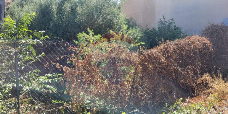 20250730120744-972158-2