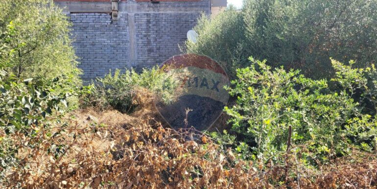 20250730120747-972158-3