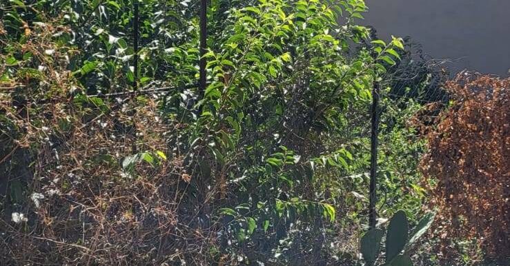 20250730120751-972158-4