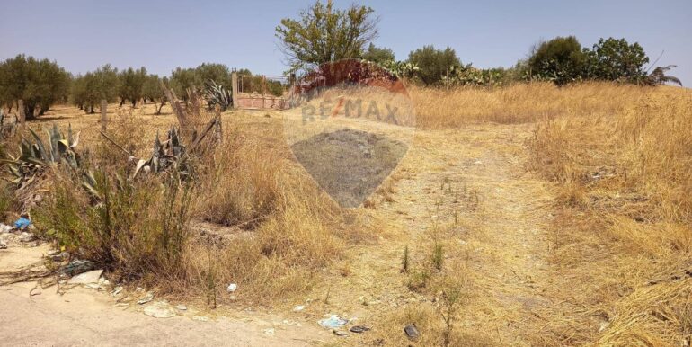 20250805171719-971949-2