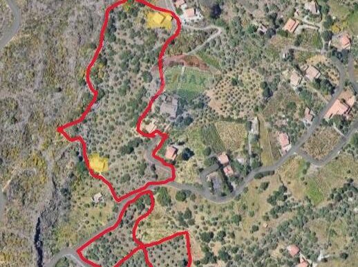 20250806153702-973572-3