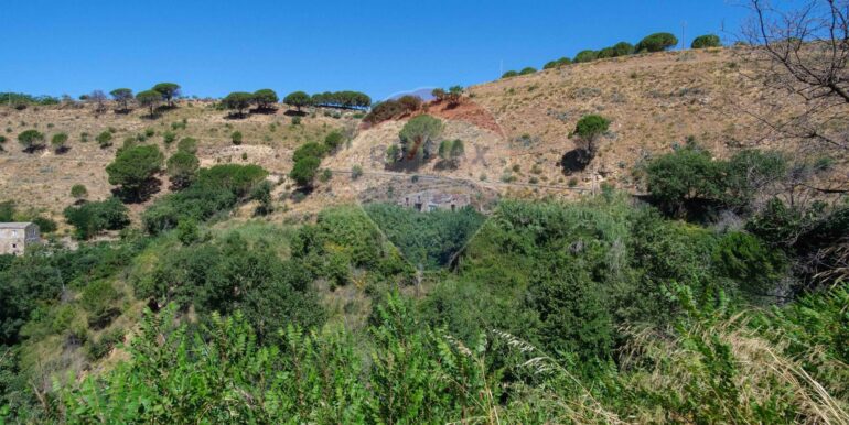 20250808124250-974463-1