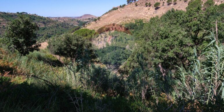 20250808124255-974463-2