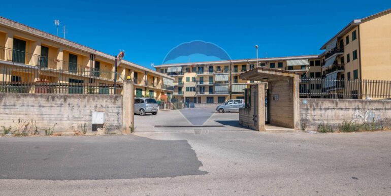 2025080814649-974012-1