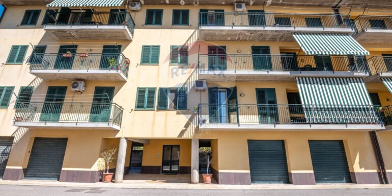 2025080814705-974012-5