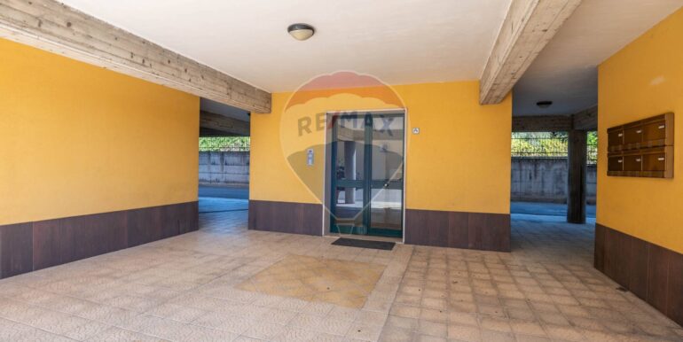 2025080814709-974012-6