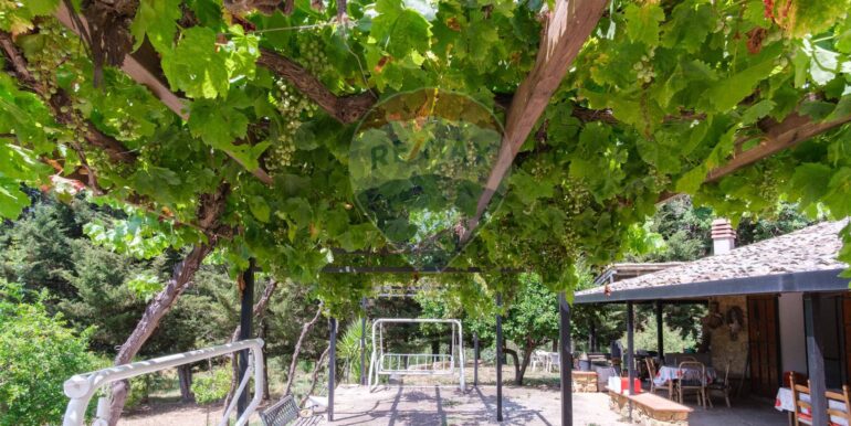 20250810112414-960168-6