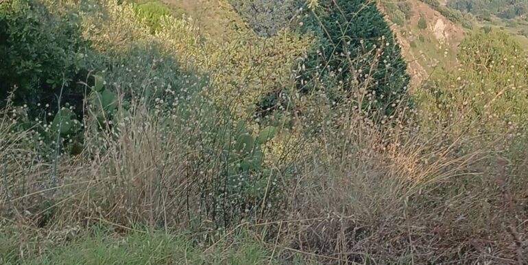 20250812155554-974713-2