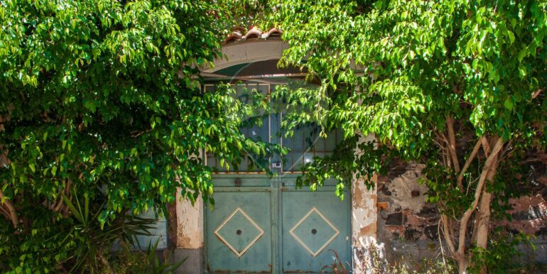 20250820100003-975086-17