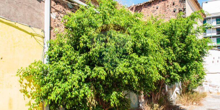 2025082095950-975086-14