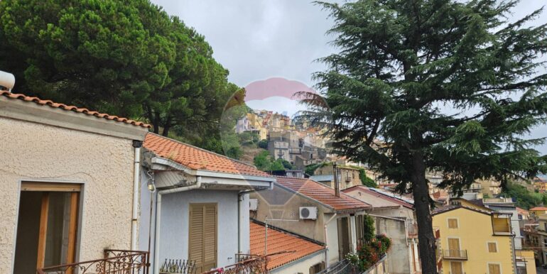 20250821135236-975299-8