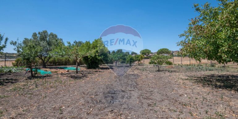 20250825173005-975646-3