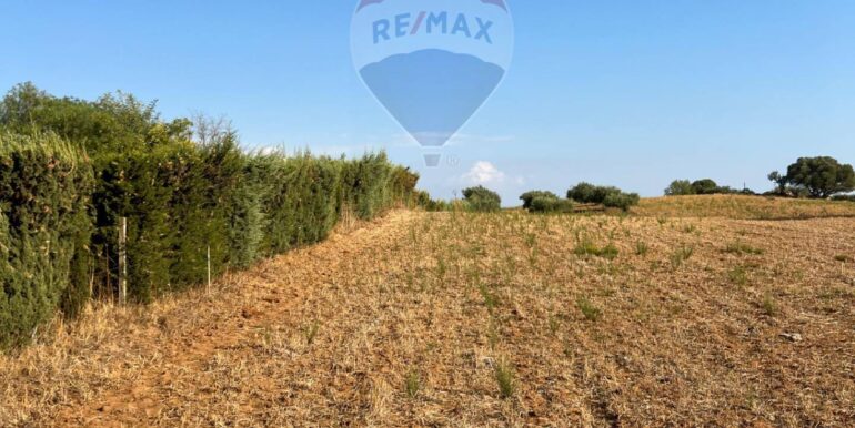 20250826112929-975735-4