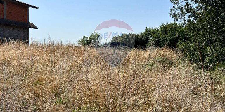 20250827230947-976076-1