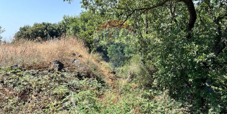 20250827230953-976076-2