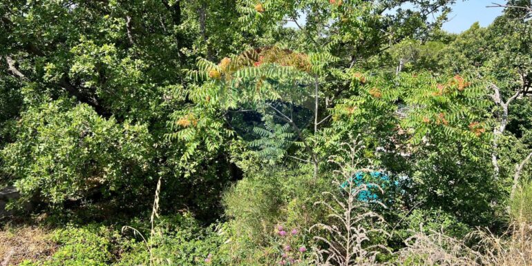 20250827230957-976076-3