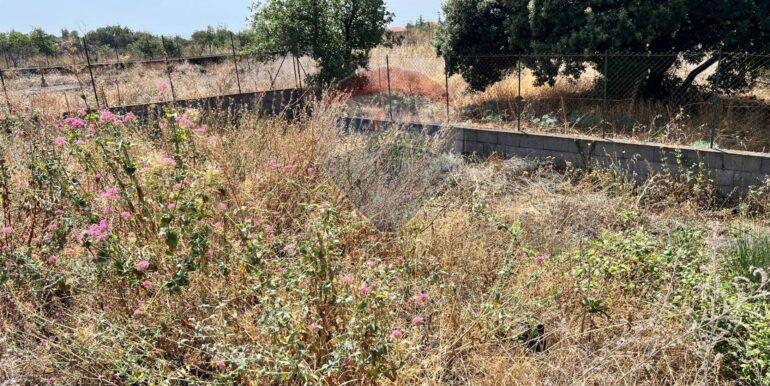 20250827231002-976076-4