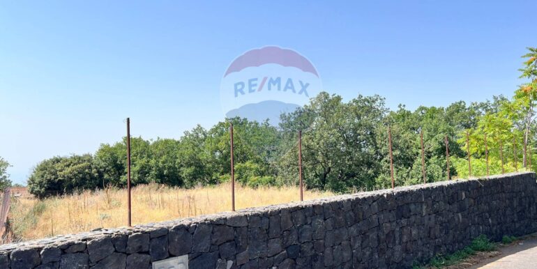 20250827231006-976076-5