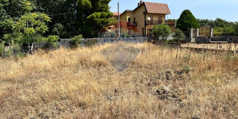 20250827231010-976076-6