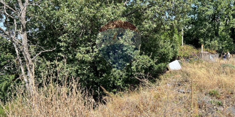 20250827231014-976076-7