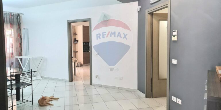 2025082982928-976086-1