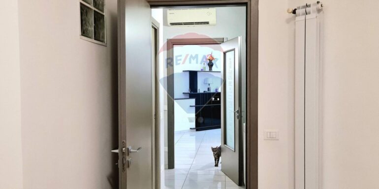 2025082982952-976086-9