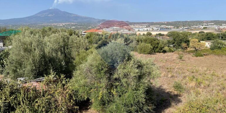 20250902223845-977272-1