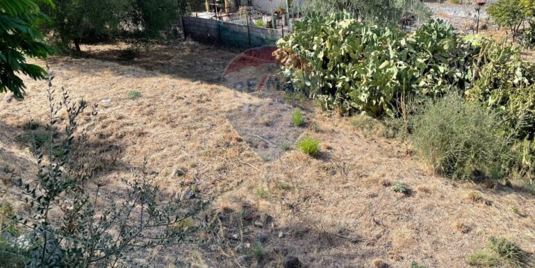 20250902223902-977272-7