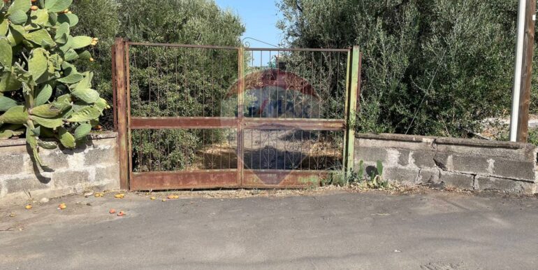 20250902224012-977272-11