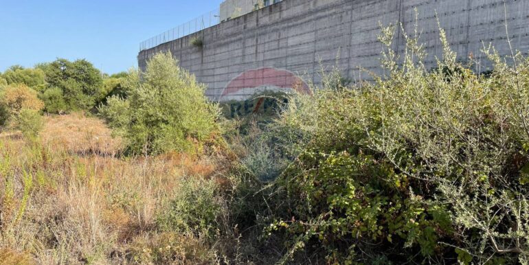 20250902224119-977272-20