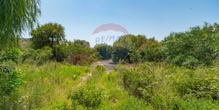 20250903122521-977436-9