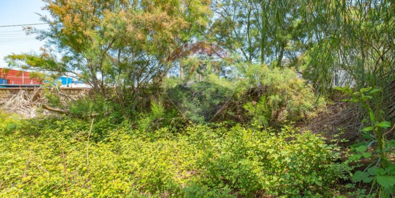 20250903122525-977436-10