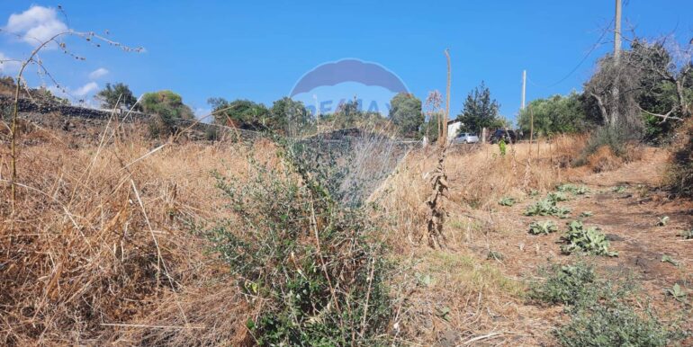 20250905183632-979229-2