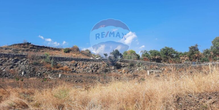 20250905183639-979229-4