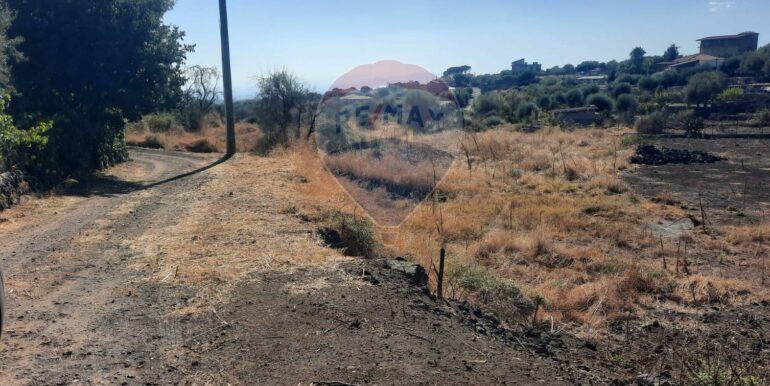 20250905183648-979229-7