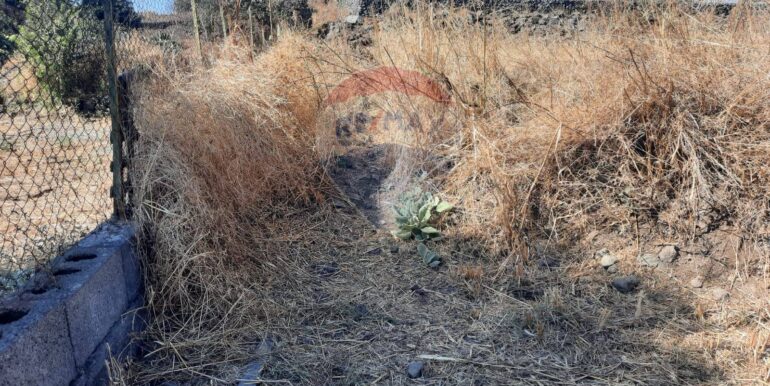 20250905183651-979229-8