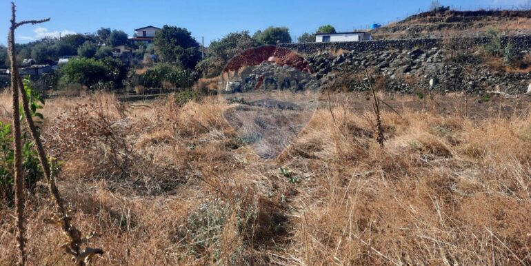 20250905183655-979229-9