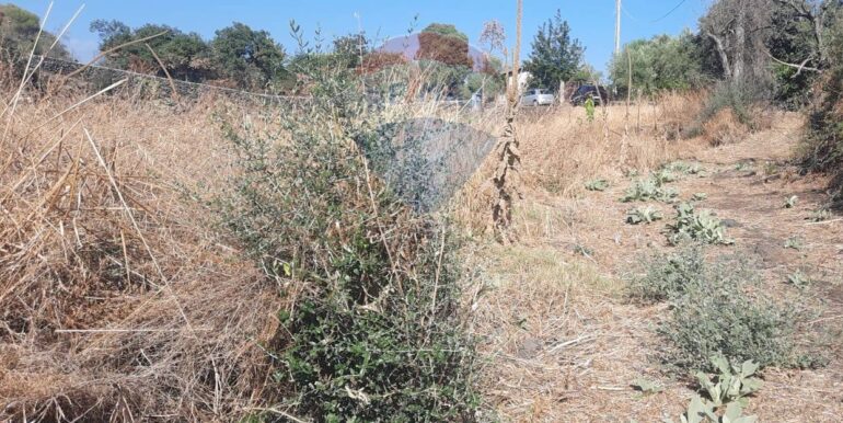 20250905183707-979229-13