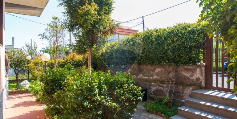 2025090595904-978818-3