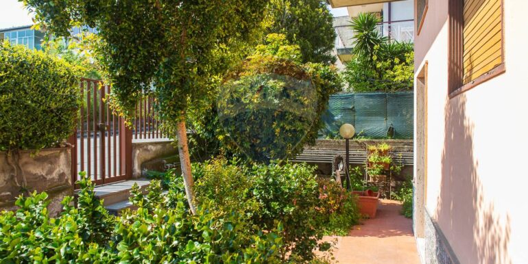 2025090595906-978818-8