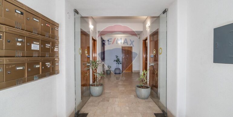 2025091271308-981293-5